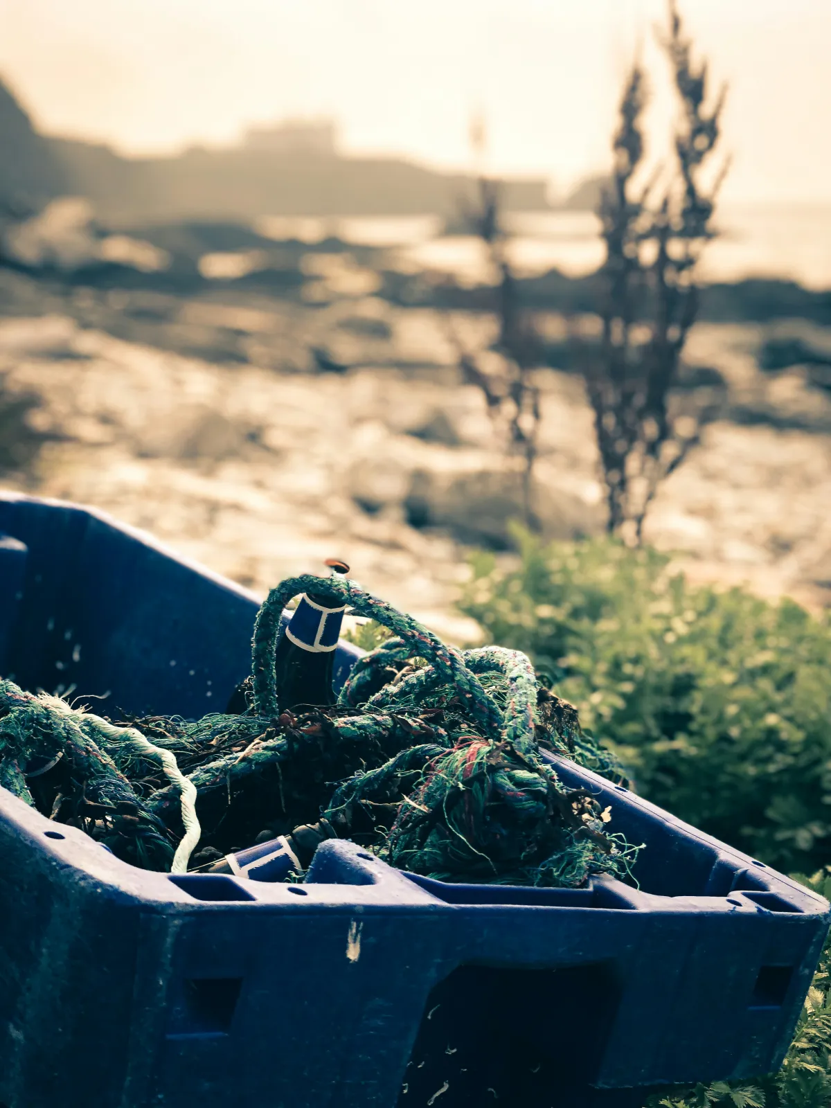 Discarded fishing rope collected from the coast