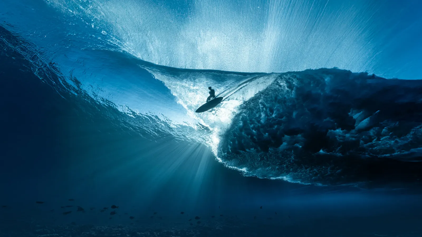 International Ocean Film Tour