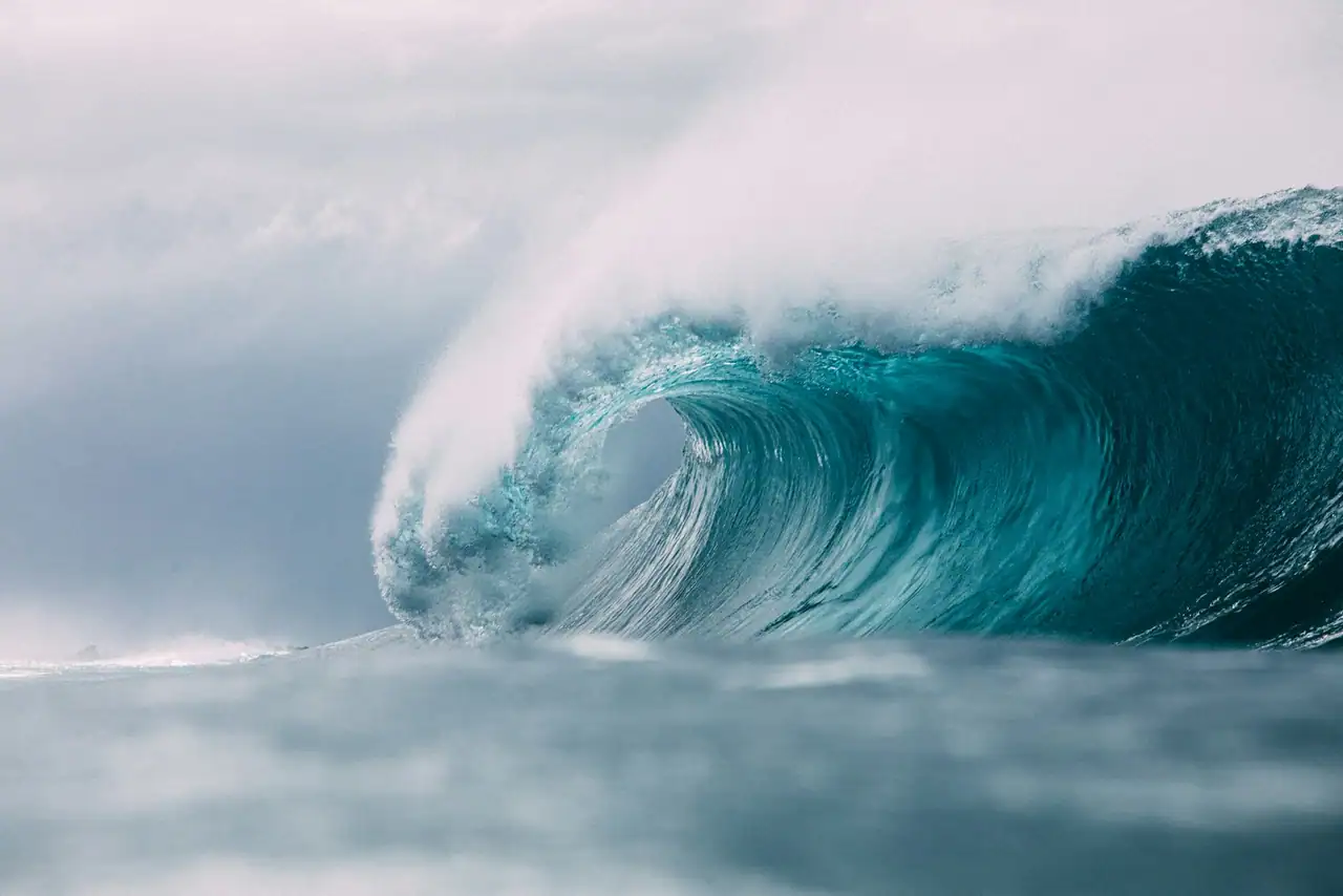 Plan a surf trip
