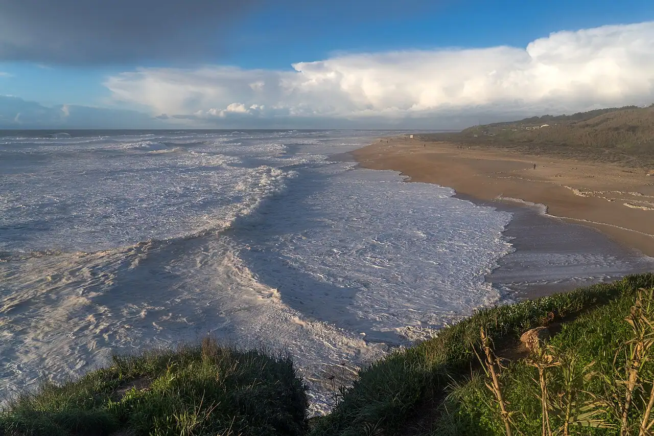 Surf schools, camps & board rental in Nazaré