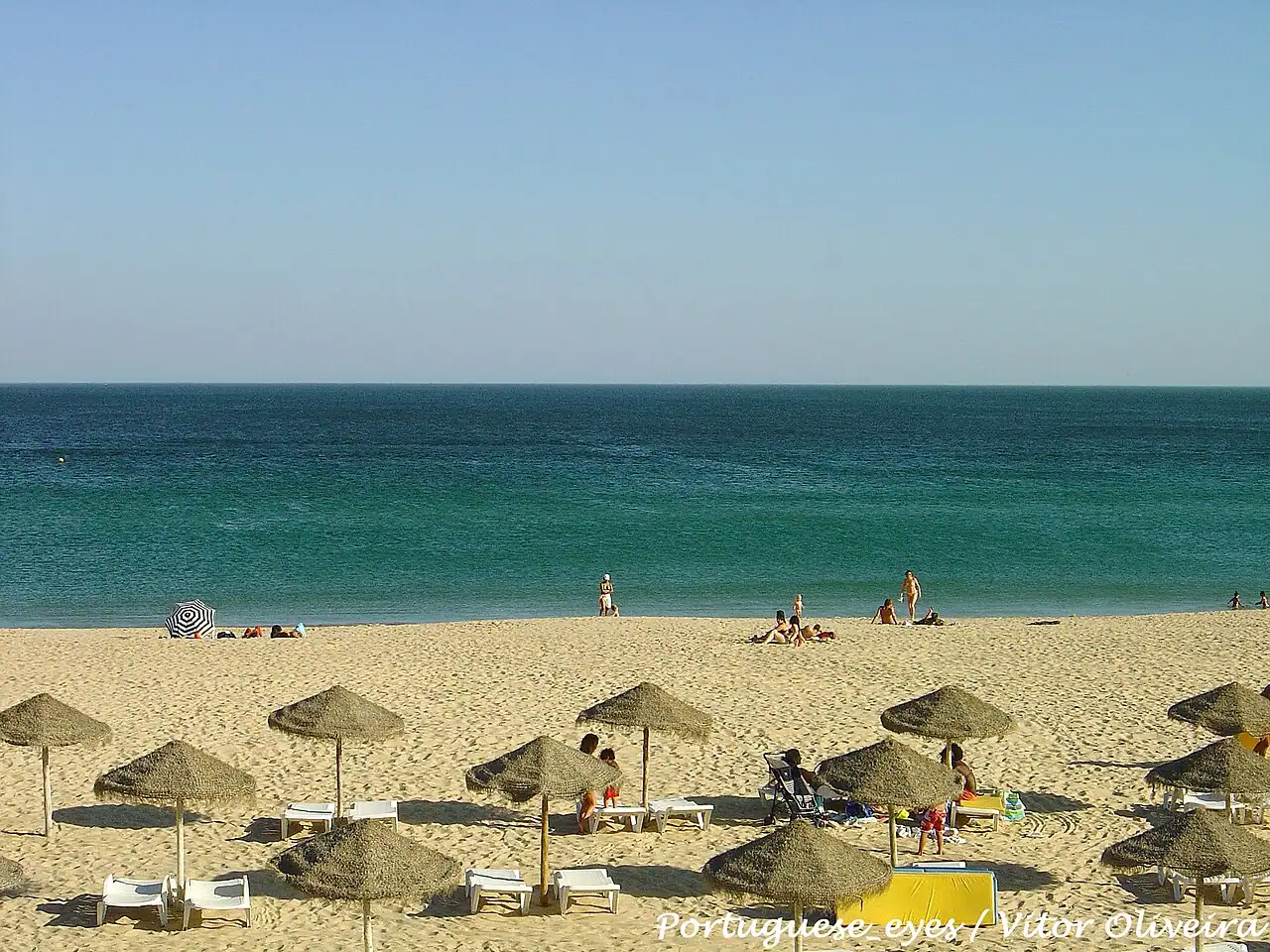 Surf schools, camps & board rental in Lagos