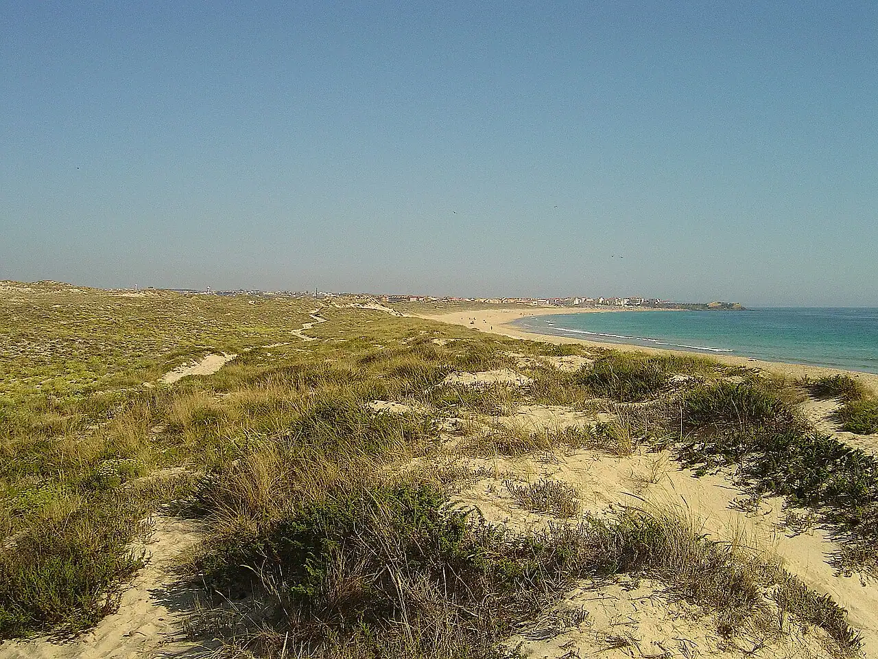 Surf schools, camps & board rental in Peniche