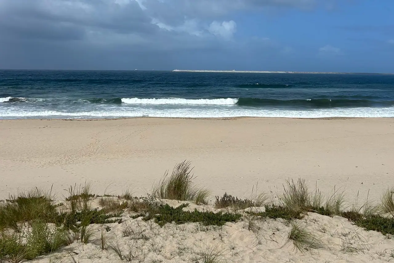 The wave at São Torpes, Sines